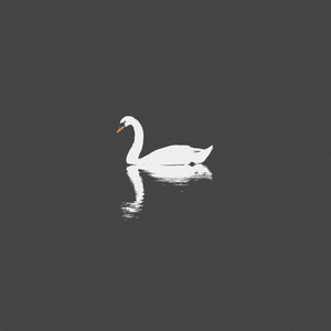 黑人几巴免费观看视频
