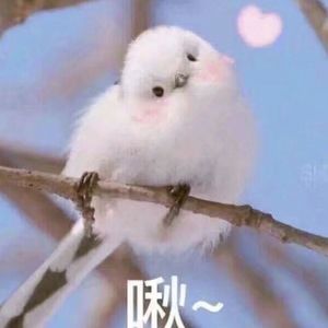 黑人几巴免费观看视频
