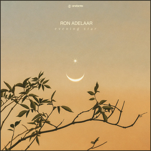 黑人几巴免费观看视频
